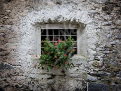 ITALY Borimo